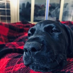 Meet your Posher, Gary